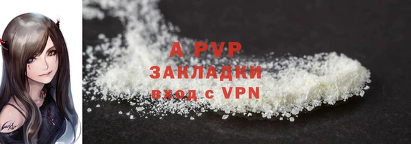 ГАЛЛЮЦИНОГЕННЫЕ ГРИБЫ Белокуриха