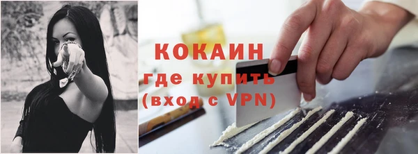 прущие грибы Белоозёрский