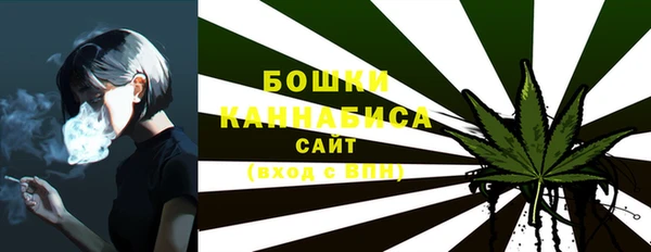прущие грибы Белоозёрский