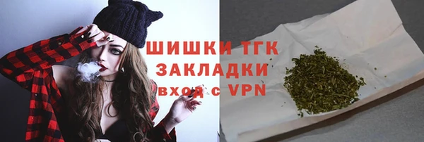 сатива Беломорск
