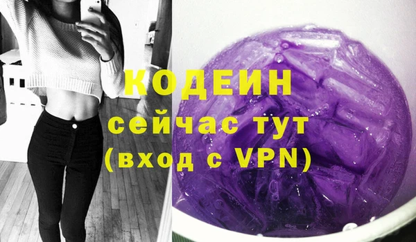 сатива Беломорск