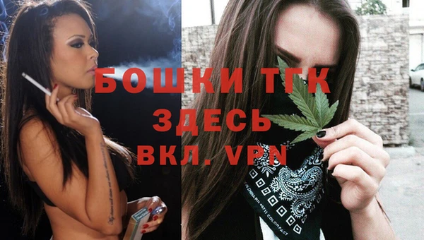 сатива Беломорск