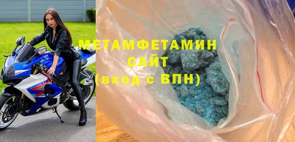 сатива Беломорск