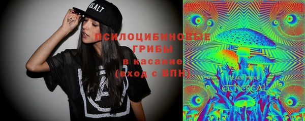 сатива Беломорск