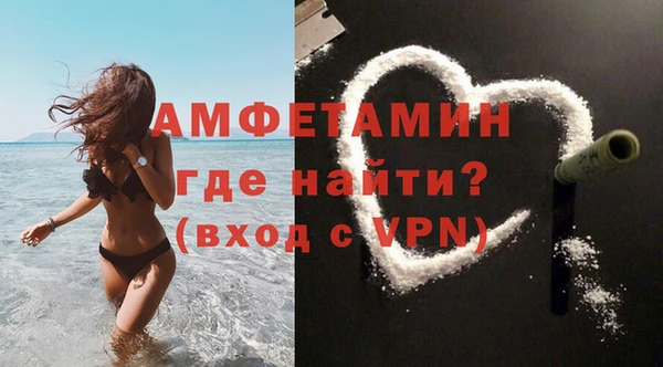 сатива Беломорск
