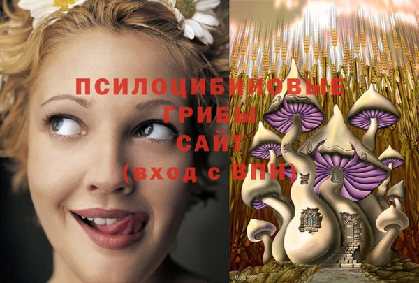 ГАЛЛЮЦИНОГЕННЫЕ ГРИБЫ Белокуриха