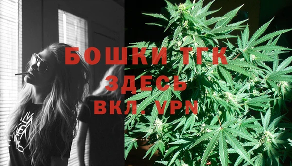 ГАЛЛЮЦИНОГЕННЫЕ ГРИБЫ Белокуриха
