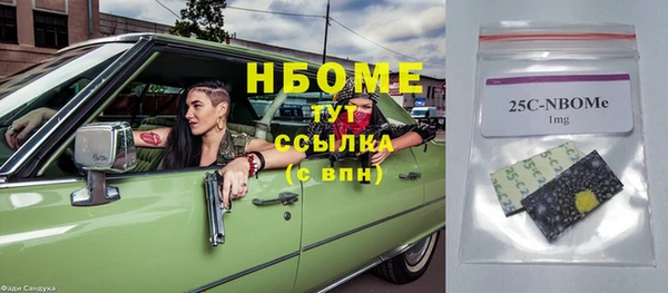 сатива Беломорск