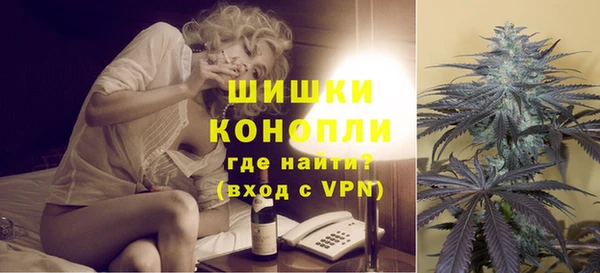 прущие грибы Белоозёрский