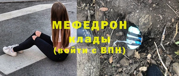 сатива Беломорск